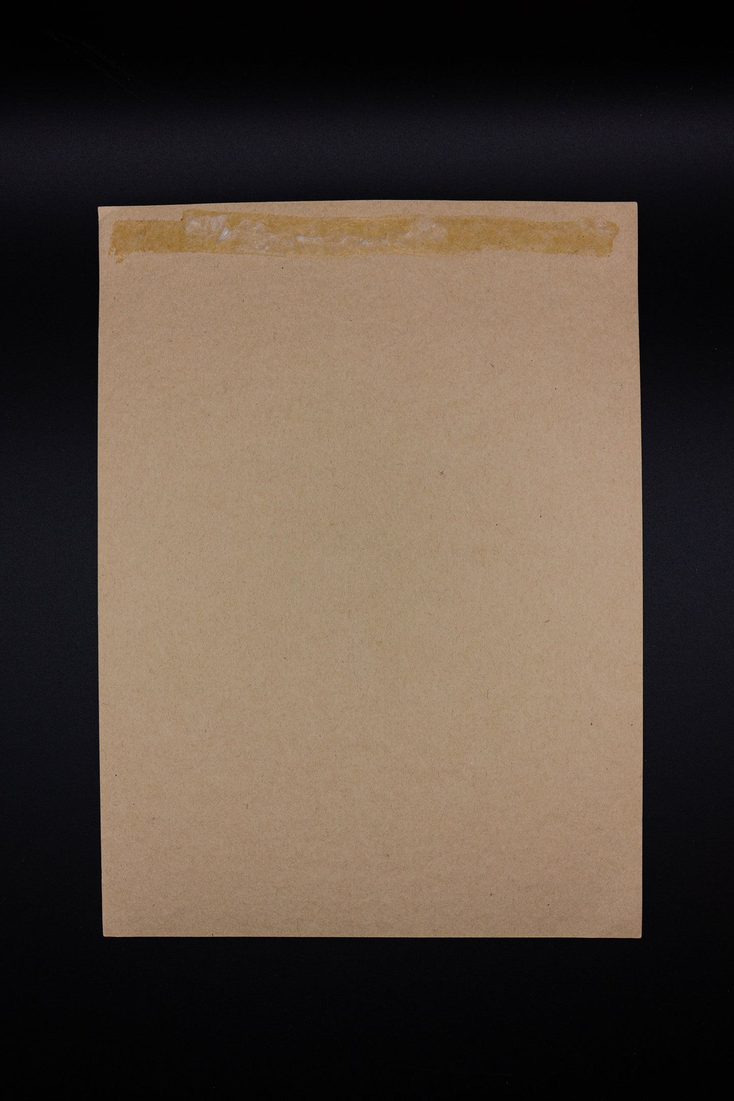 Antique Photo Mother & Daughters 1908 - Rad Future