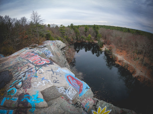 The Ledge Loop - Rad Future