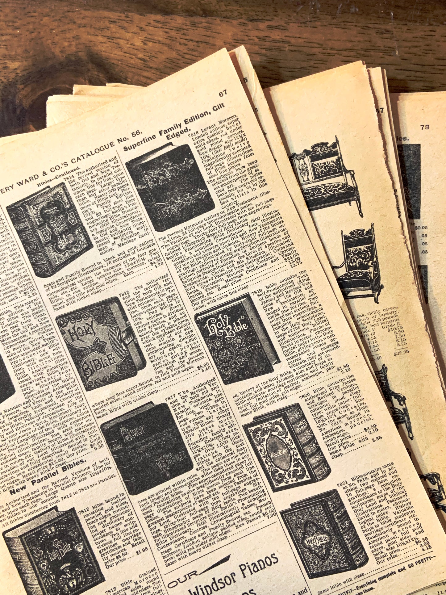 Antique Catalog Sheets - 10pcs