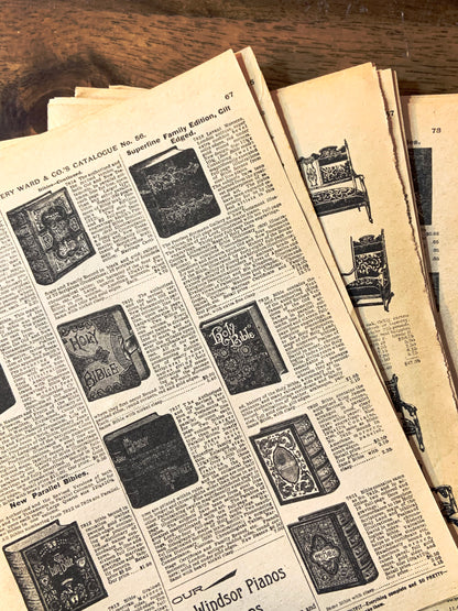Antique Catalog Sheets - 10pcs