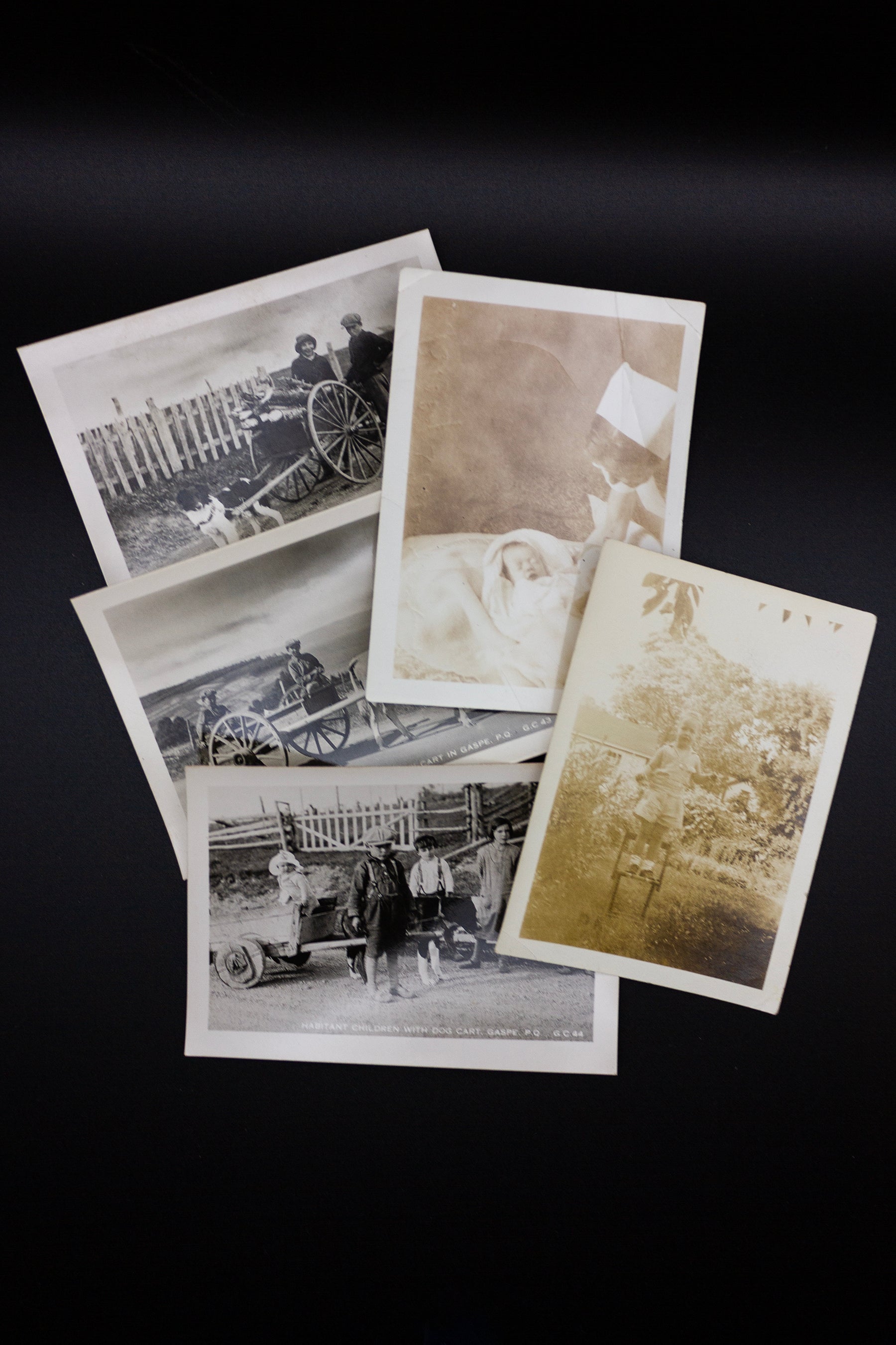 Set of 5 Antique Photos - Rad Future