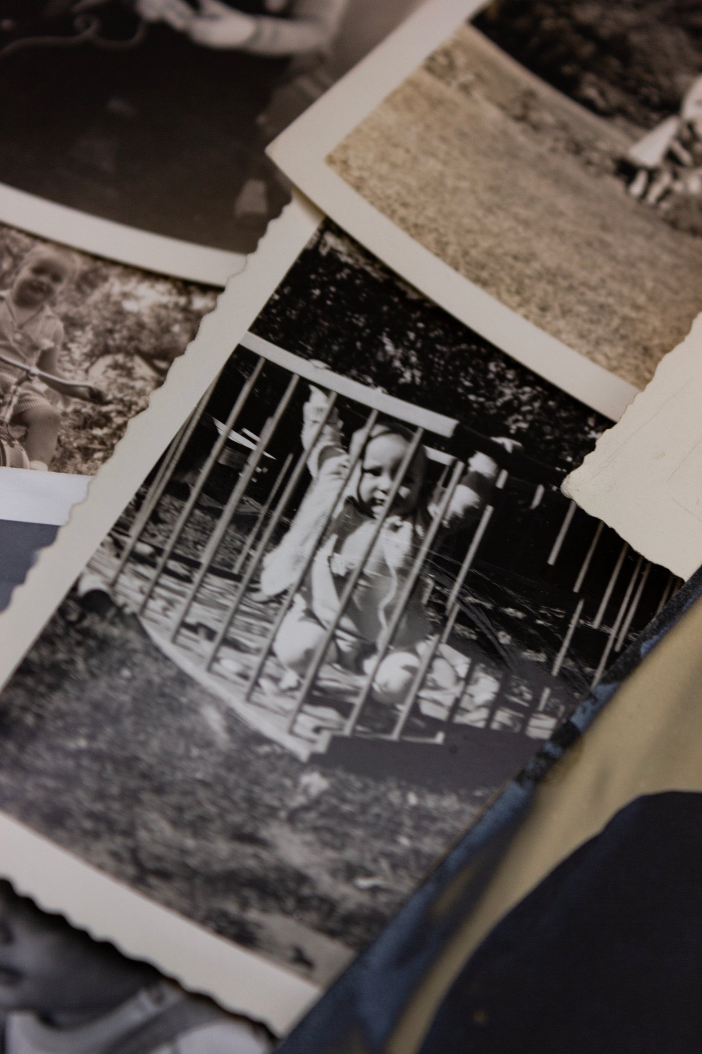 Set of 10 Vintage Photos of Children/Family Photos - Rad Future