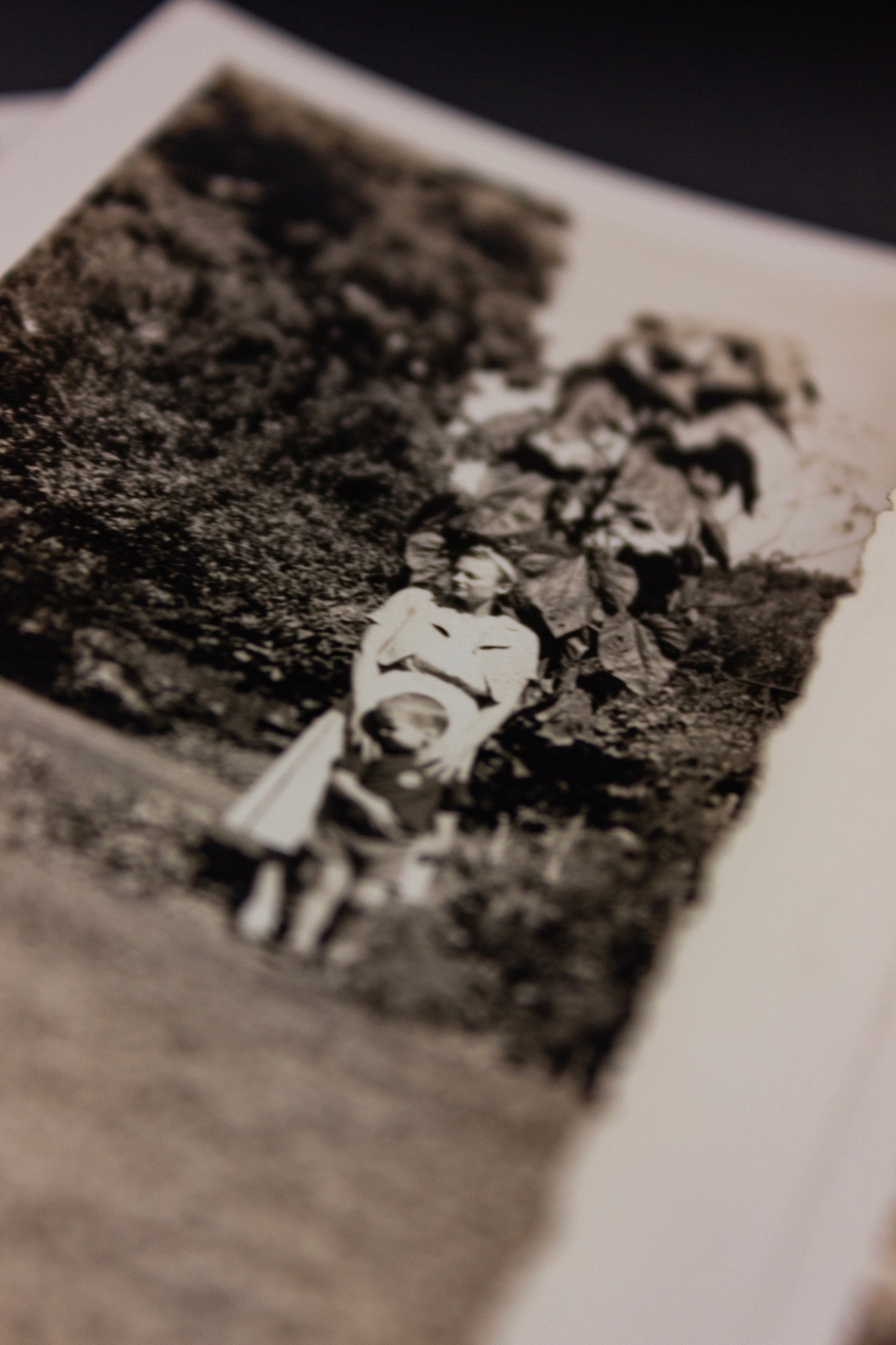 Set of 10 Vintage Photos of Children/Family Photos - Rad Future