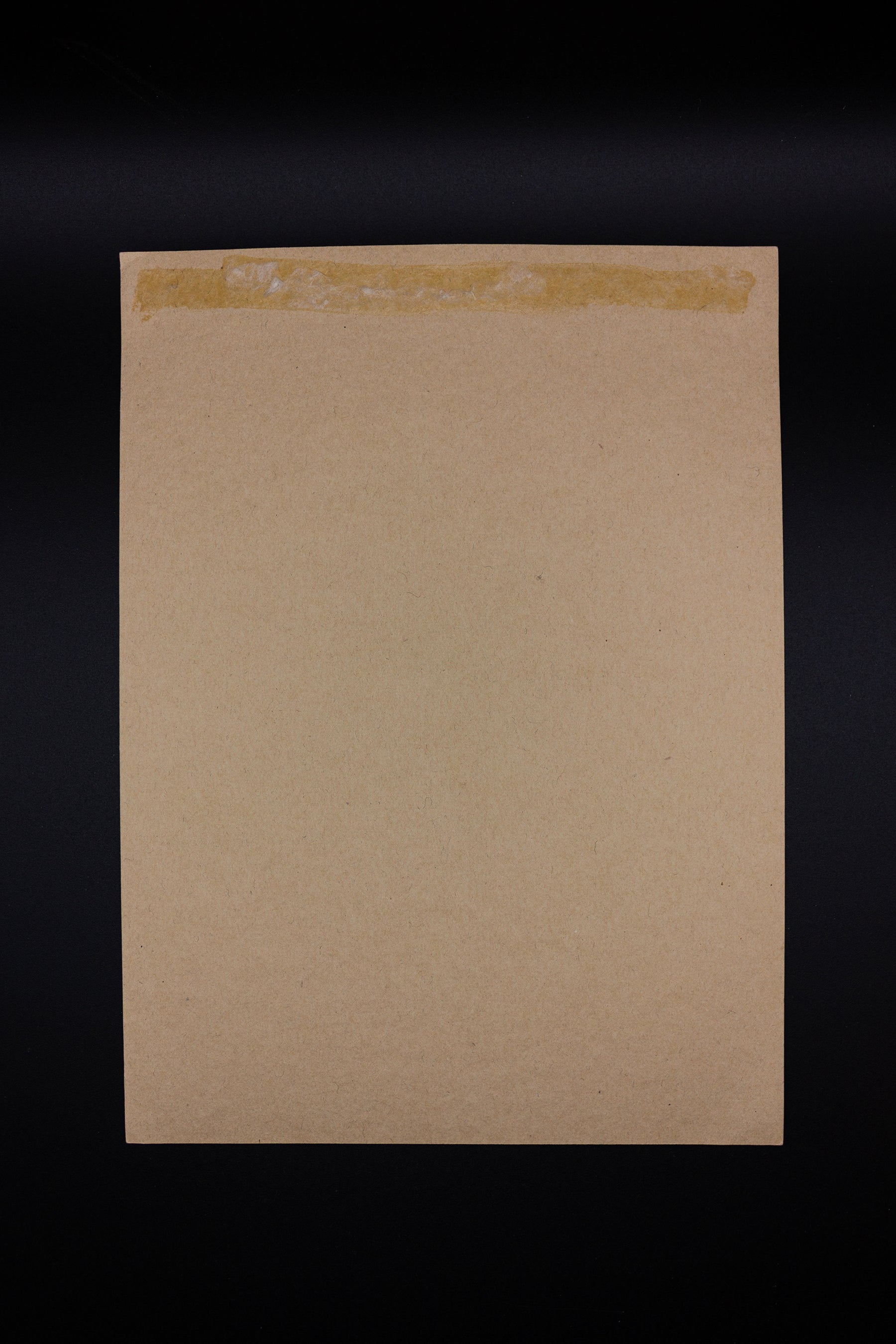 Antique Photo Mother & Daughters 1908 - Rad Future