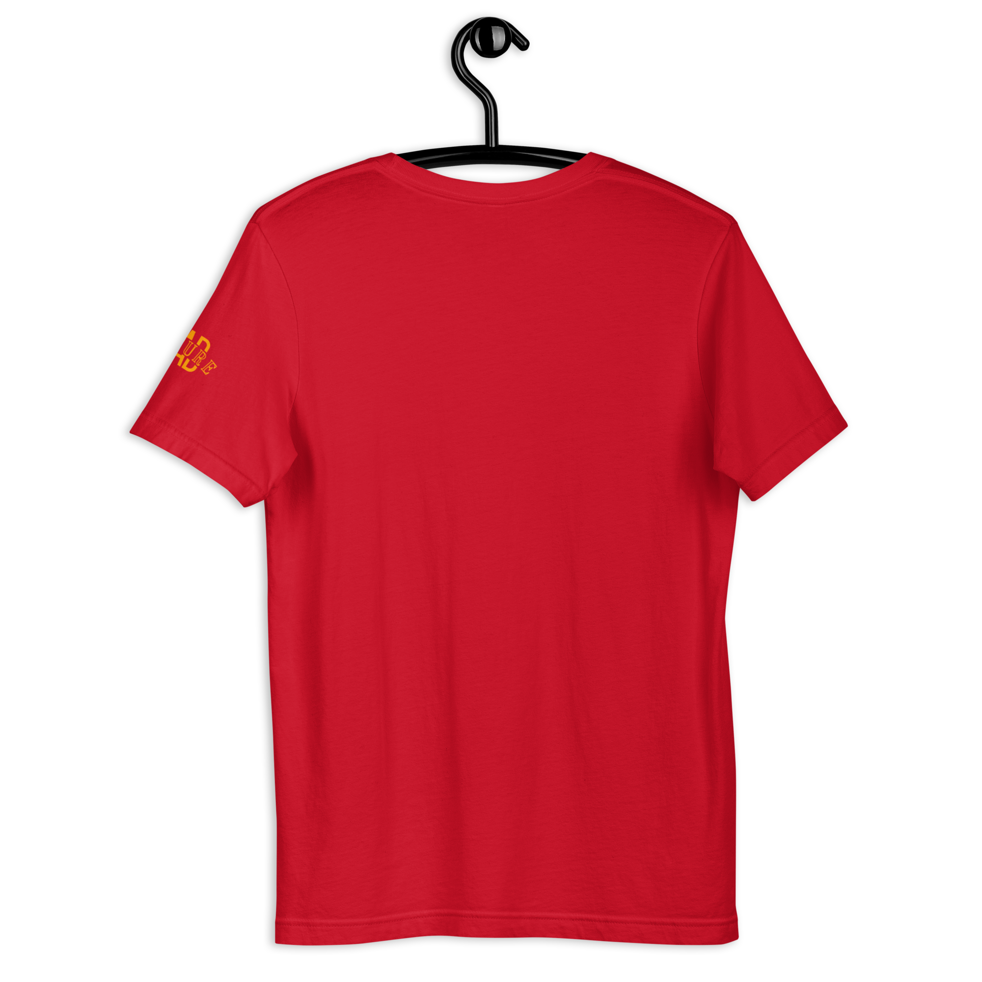 Fall River, MA Unisex t-shirt - Rad Future